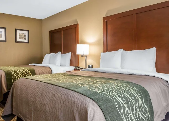 Comfort Inn & Suites Pittsburgh South